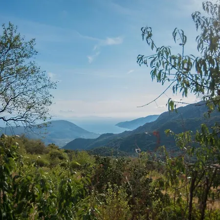 Holiday home Hill Agios Ilias (Lefkada)