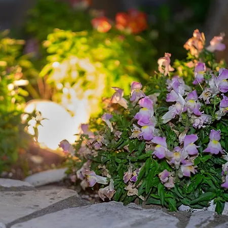 Hill * Agios Ilias (Lefkada)