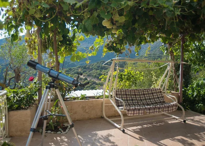 Hill Case de vacanță *