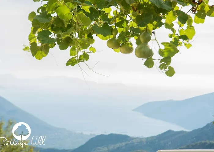 Case de vacanță Hill *